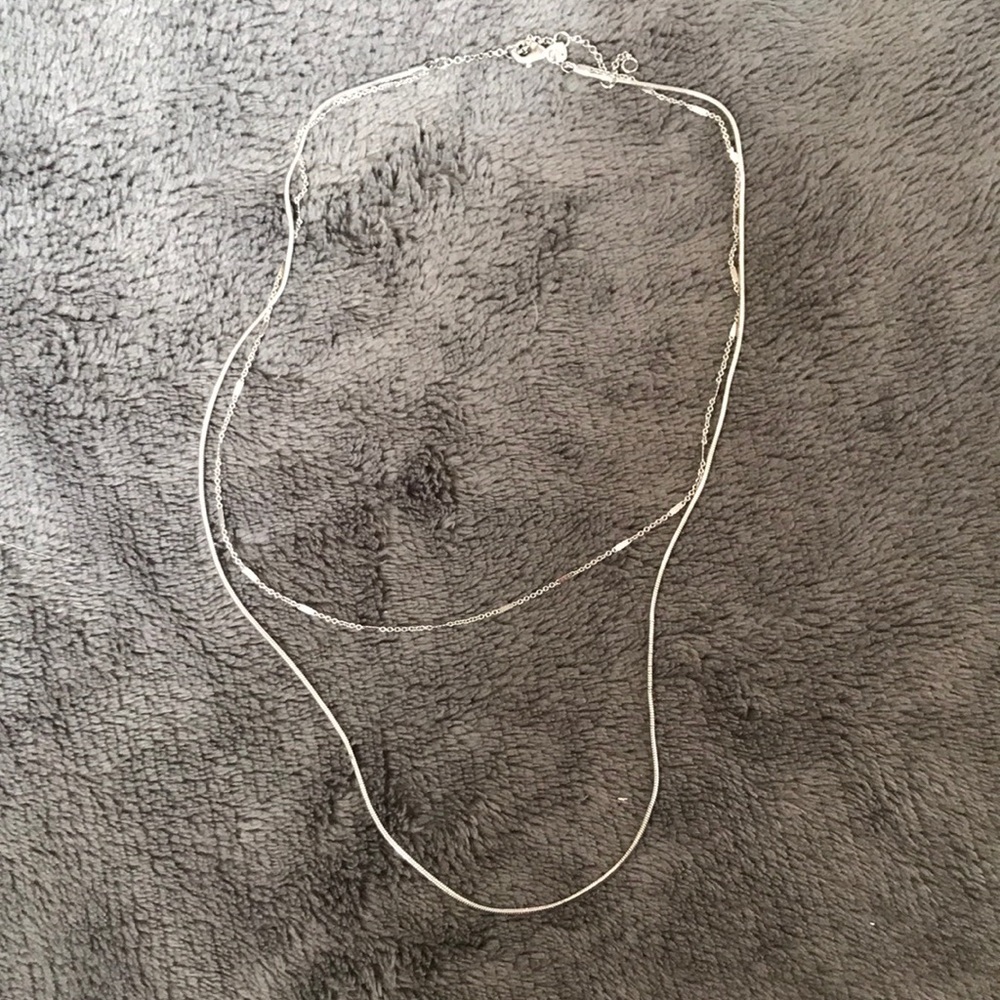 Silver double necklace